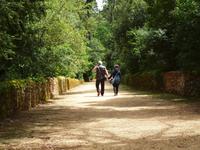Park von Bucaco