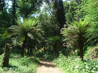 Park von Bucaco