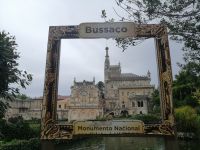 Park von Bussaco
