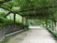 Park von Bussaco