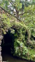 Parque Terra Nostra, São Miguel Island, Povoação, Azores, Portugal