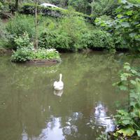 Parque do Bucaco