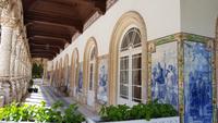Parque von Bussacao (2)