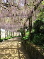Parque von Bussaco