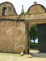 Parque von Bussaco