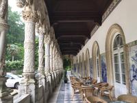 Parque von Bussaco