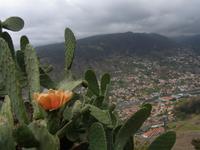 Pico do Facho