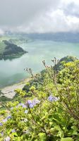 Pico do Ferro, São Miguel Island, Povoação, Azores, Portugal