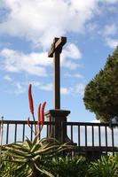 Pico dos Barcelos