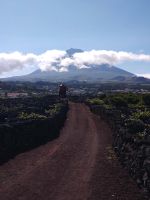 Pico