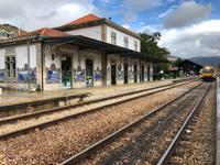 Pinhão 
