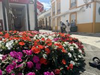 Ponta Delgada (25)