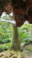 Ponta Delgada, Botanischer Garten Antonio Borges
