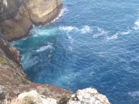 Ponta da Piedade