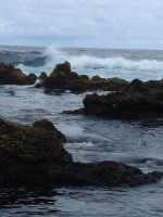 Ponta dos Biscoitos