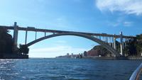 Ponte da Arrábida