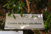 Ponte do Sol
