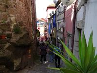 Porto - Bummel von der Kathedrale hinab zum Börsenplatz