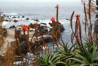 Porto Moniz