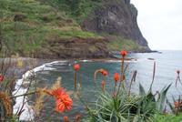 Porto da Cruz