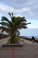 Promenade am Meer