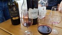 Quinta da Pacheca 20181010 175835