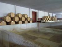 Quinta da Pacheca