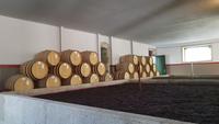 Quinta da Pacheta