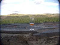 Quinta de Avessada