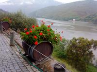 Quinta do Tedo