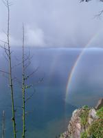 Regenbogen