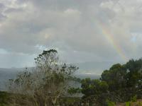 Regenbogen