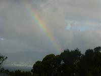 Regenbogen