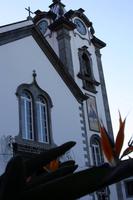 Ribeira Brava
