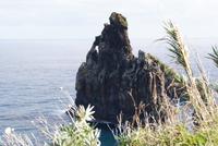 Ribeira da Janela
