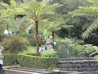 Ribeiro Frio
