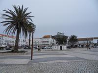 SDC10777