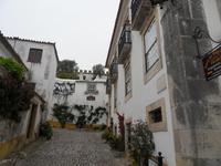 SDC10809
