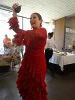 Salamanca - Mittagessen mit Flamenco-Show