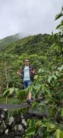 Sao Jorge, Faja dos Vimes, Kaffeeplantage Nunes