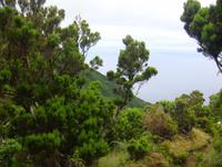 Sao Jorge