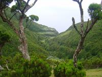 Sao Jorge
