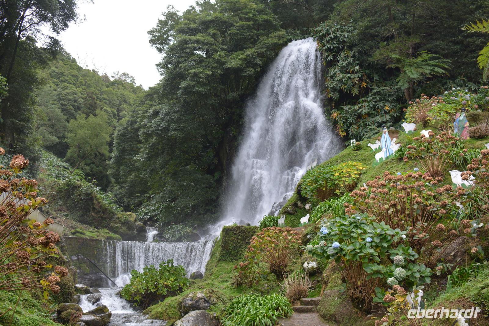 Sao Miguel - Parque Natural da Ribeira dos Caldeiroes (5)