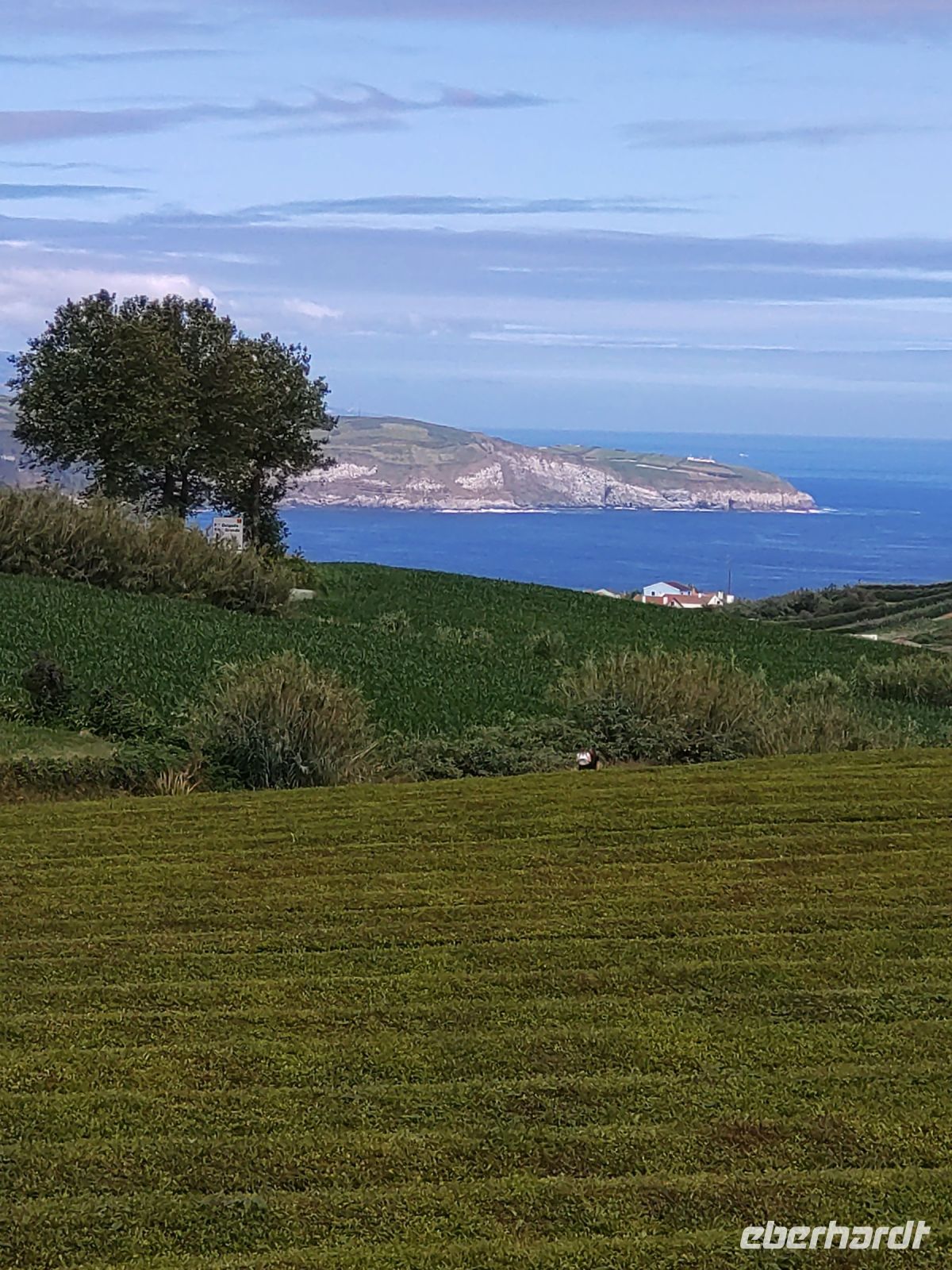 Sao Miguel