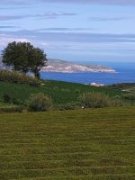 Sao Miguel