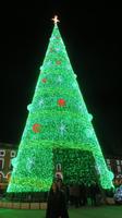 Silvesterreise Lissabon - Praca do Comercio