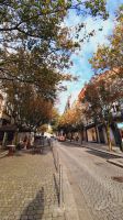 Singlereise Portugal - Carmelitas-Straße in Porto