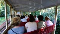 Singlereise Portugal - Fahrt mit der Wasserballastbahn zur Wallfahrtskirche Bom Jesus