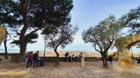 Singlereise Portugal - Festung São Jorge in Lissabon