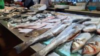 Singlereise Portugal - Fischmarkt in Aveiro